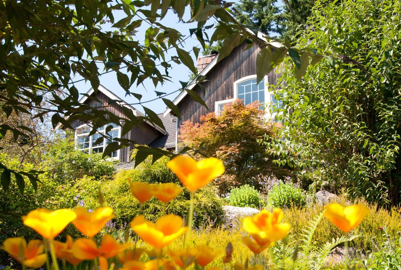 Hideaway Lodge B And B Вудинвилл Экстерьер фото